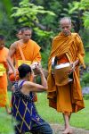 Monks from Wat don Muang receiving alms.   