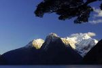 Early morning detail of Milford Sound.