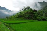 Rice fields near Mai Chau